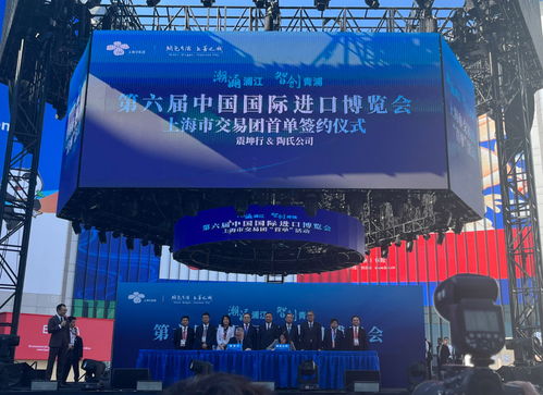 放眼世界，只有中國可以辦進博會這樣的展會——從丁一凡觀點看軟件代理服務(wù)的機遇與前景