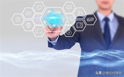 SEO軟件代理服務(wù)詳解 2024年核心概念、運(yùn)作模式與價(jià)值解析