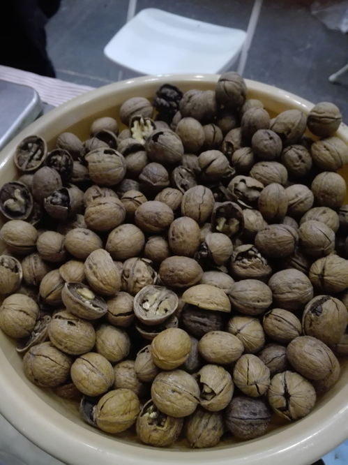 從螞蟻山到會展中心 一顆果子的鄉愁之旅