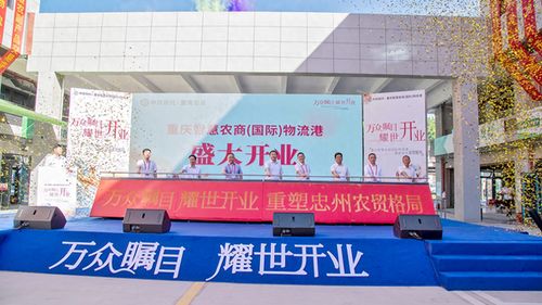 忠縣農(nóng)產(chǎn)品物流港盛大開業(yè)，一站式初加工服務(wù)賦能農(nóng)產(chǎn)品流通體系現(xiàn)代化