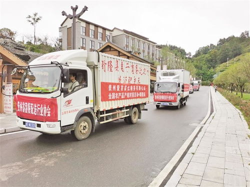 貴州省商務廳出臺22條措施 以“四新”引領“四化” 聚焦農產品初加工服務