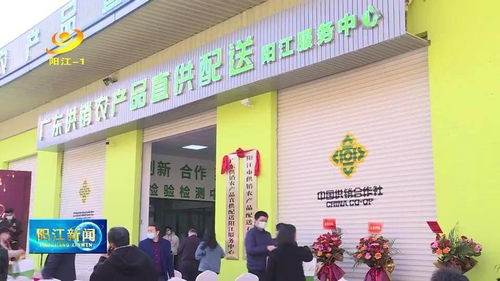 廣東供銷農產品直供配送陽江服務中心揭牌 直供2000余種產品 打造一體化服務新標桿