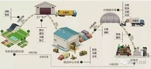 潤恒市場關注 水產品冷鏈物流現狀與農產品初加工服務的深度剖析